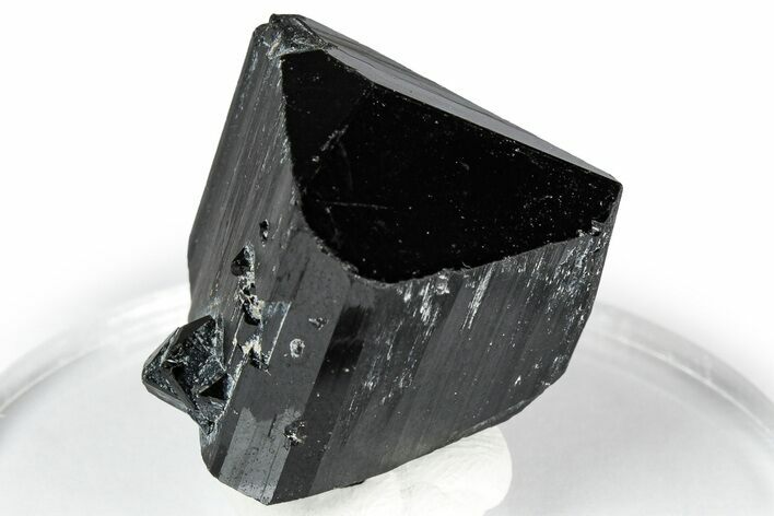 Lustrous Black Tourmaline (Schorl) Crystal - Namibia #348748